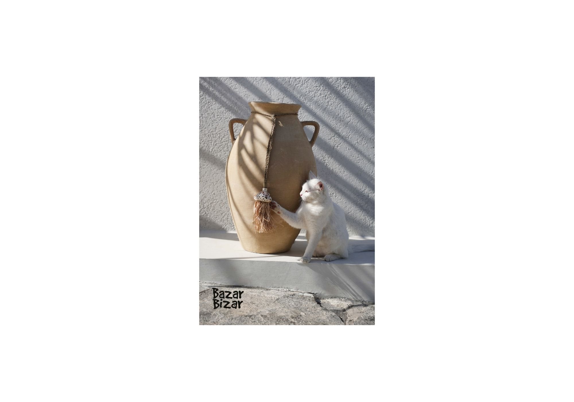 catalogue-2025