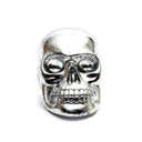 the-resin-skull-head-silver-l