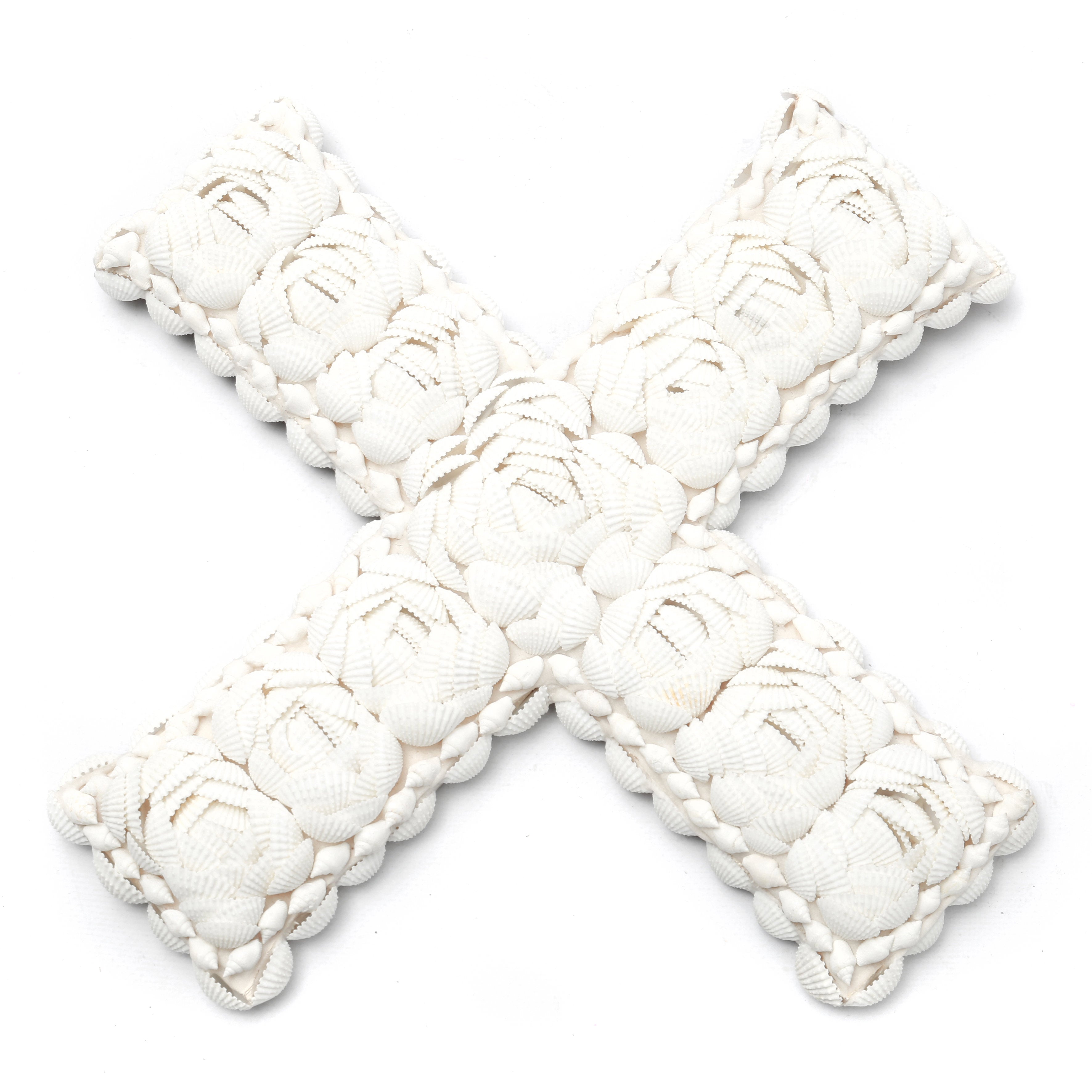 the-shell-x-white-l