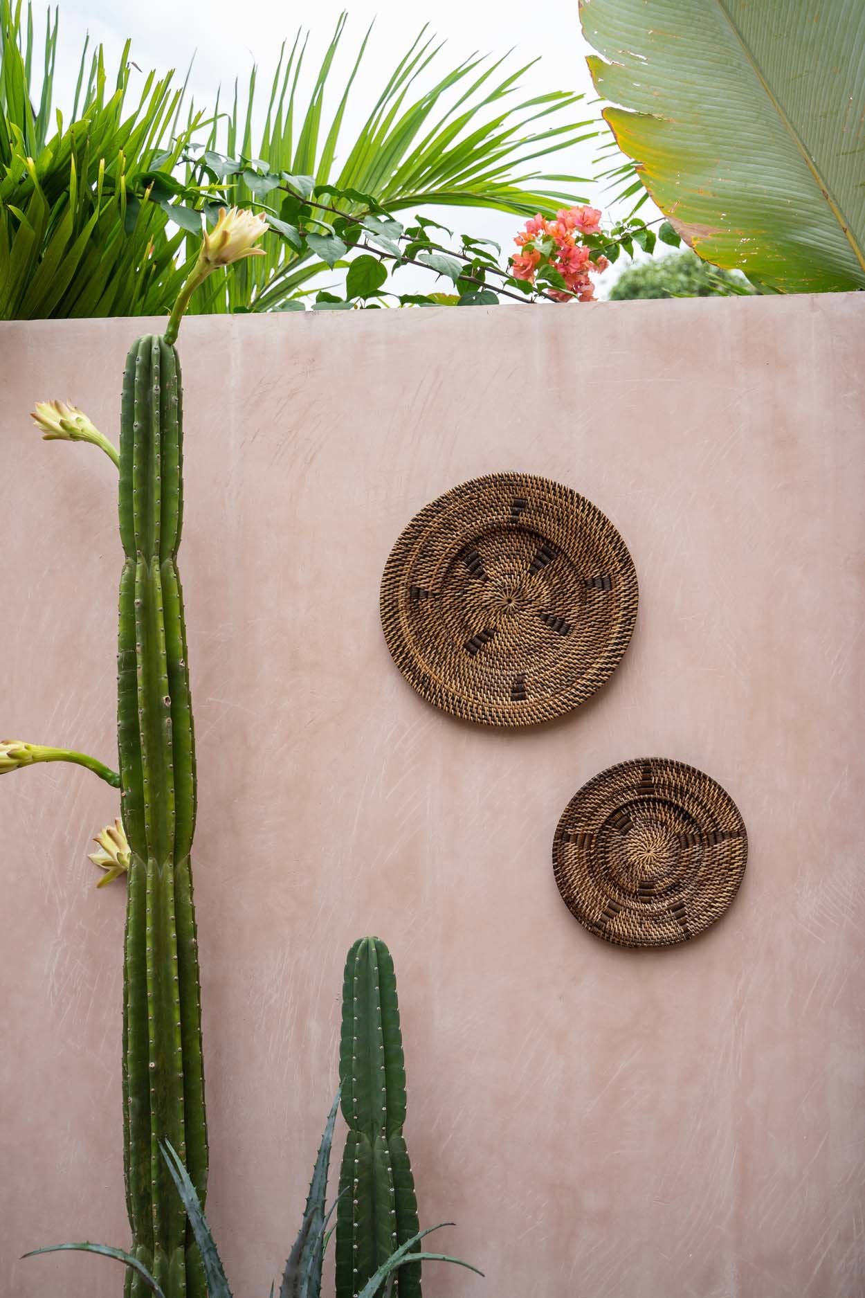 the-jasmine-plate-brown-m