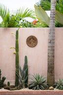 the-jasmine-plate-brown-s