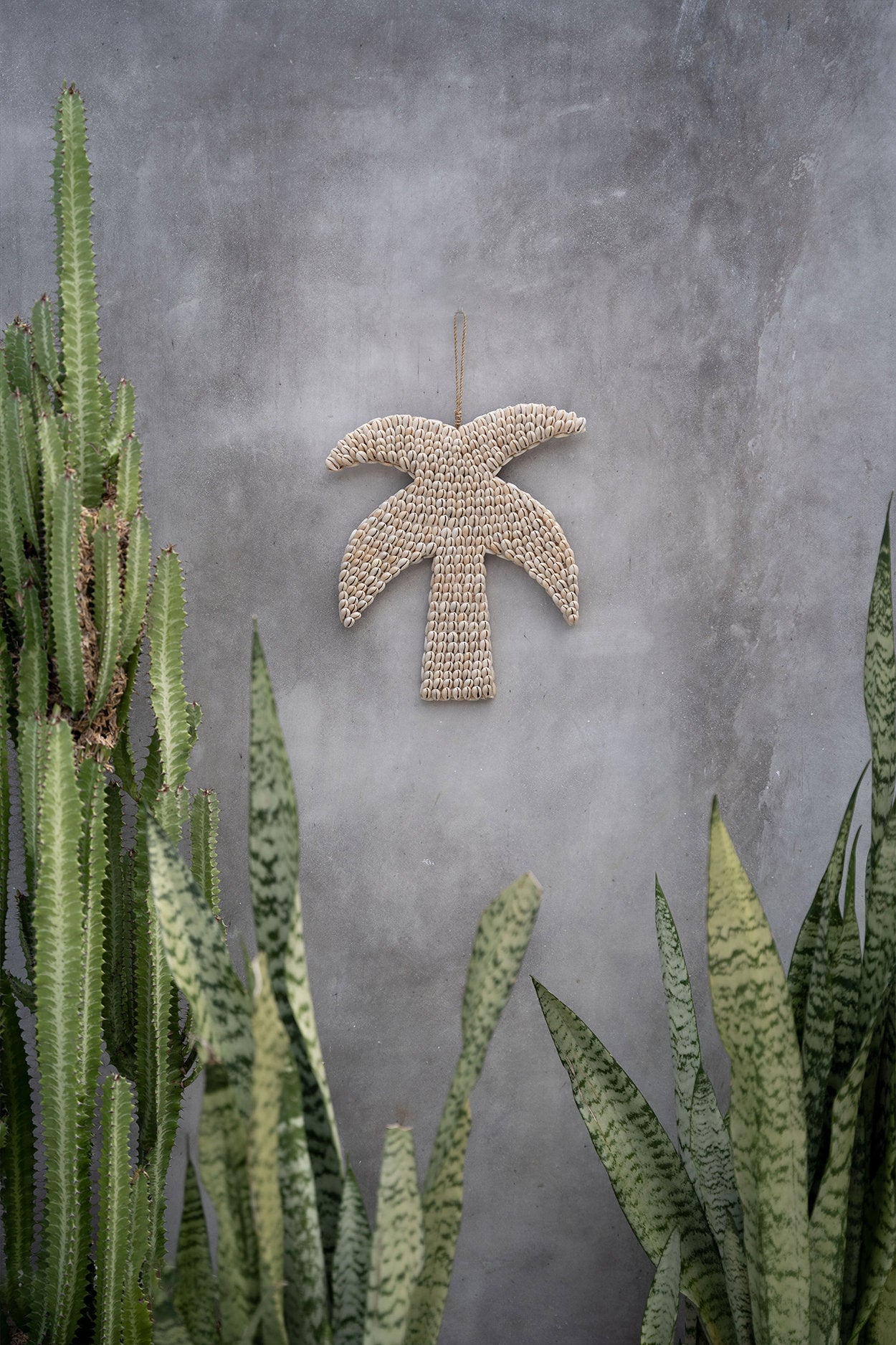 the-shell-palm-tree-natural