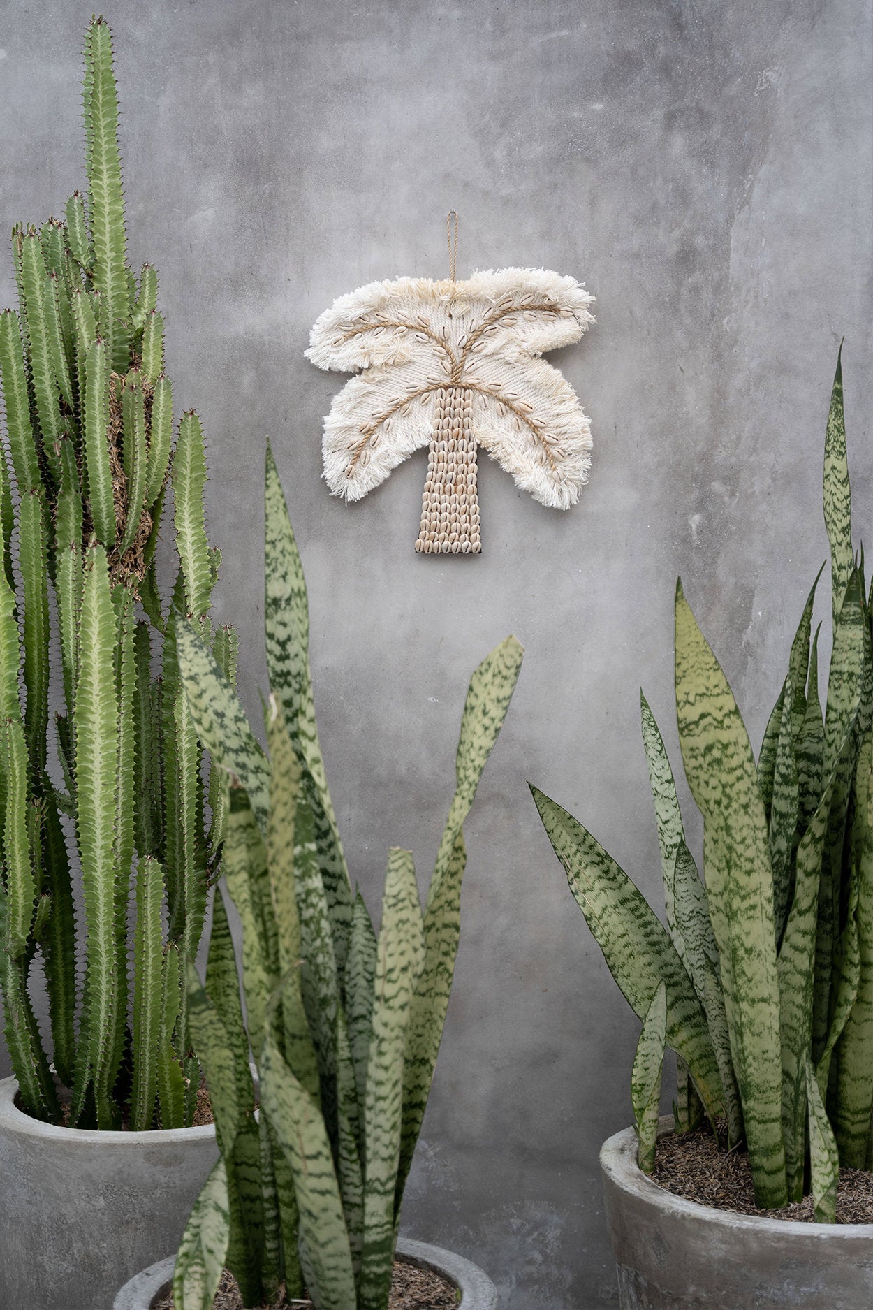 the-cotton-shell-palm-tree-white-natural