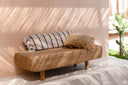 the-water-hyacinth-bench