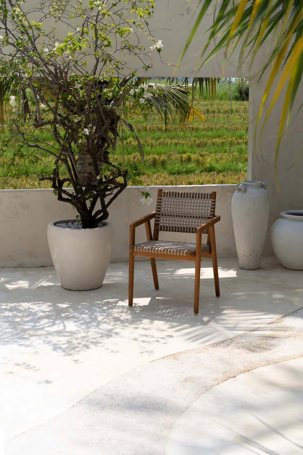 the-trikeri-dining-chair