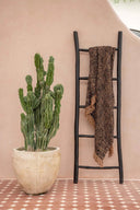 the-tulum-ladder-black-165