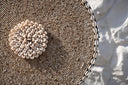 the-shell-guadeloupe-on-stand-natural-white