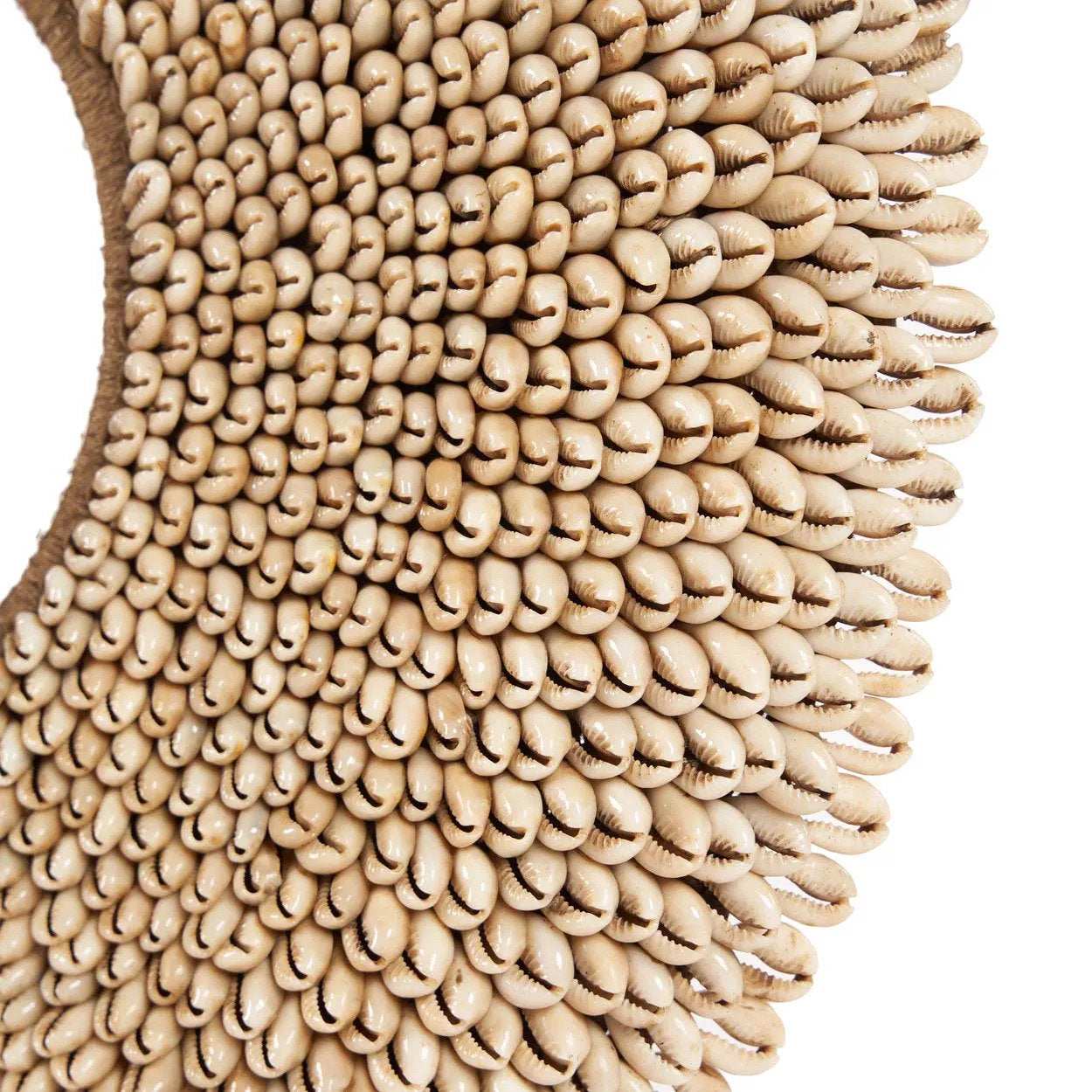 Neutral-toned shell display perfect for living room or hallway