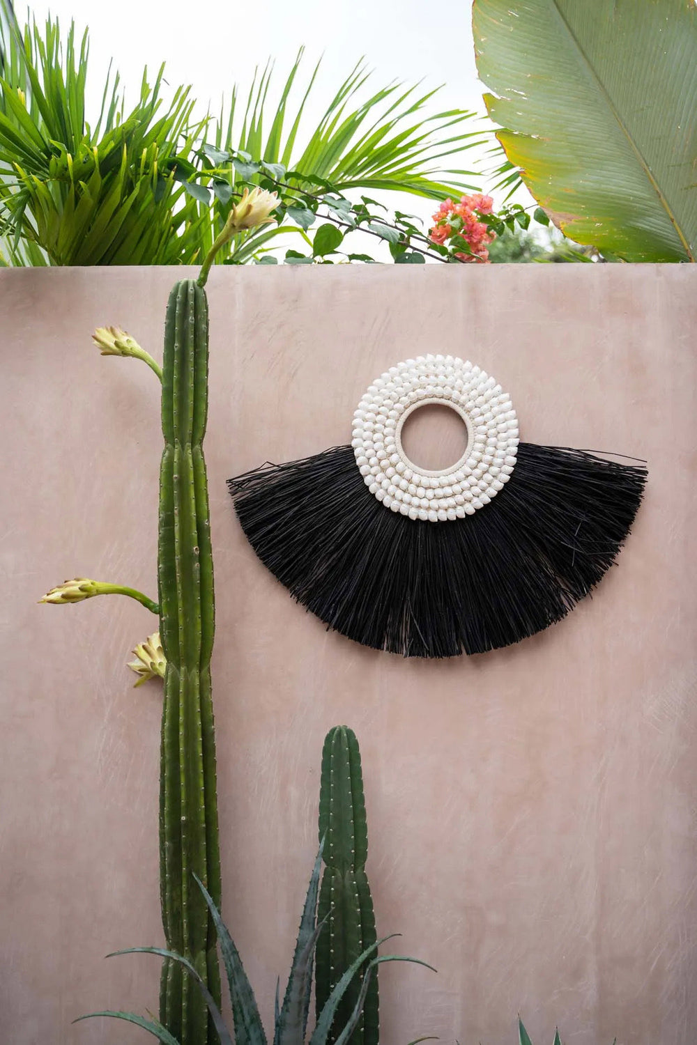 the-shell-alang-alang-black