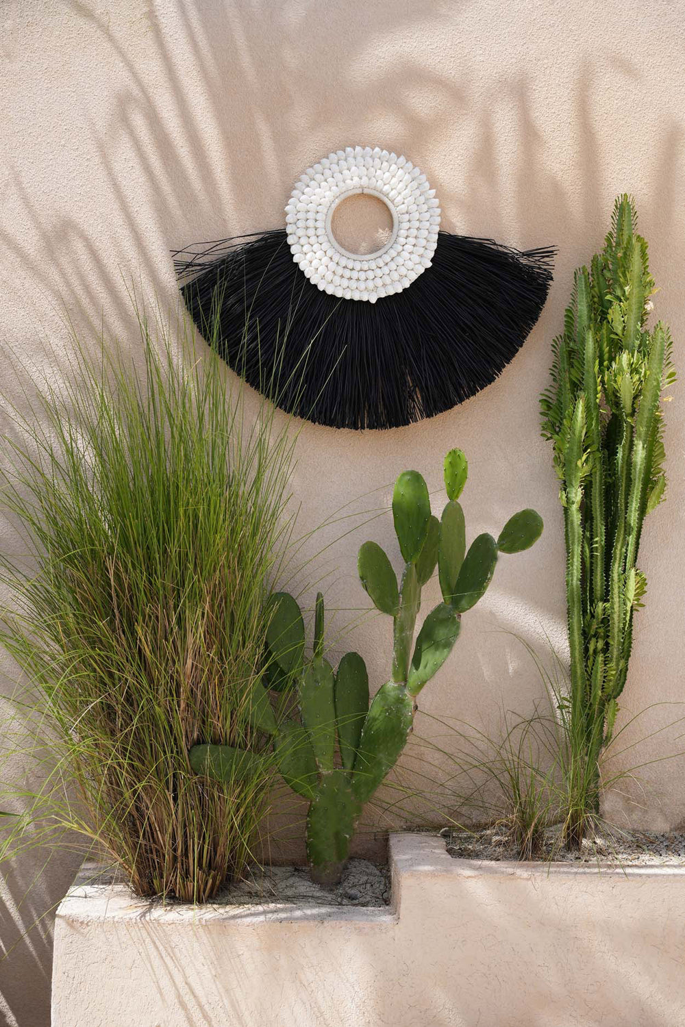 the-shell-alang-alang-black