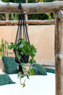 the-macrame-plant-holder-black-s