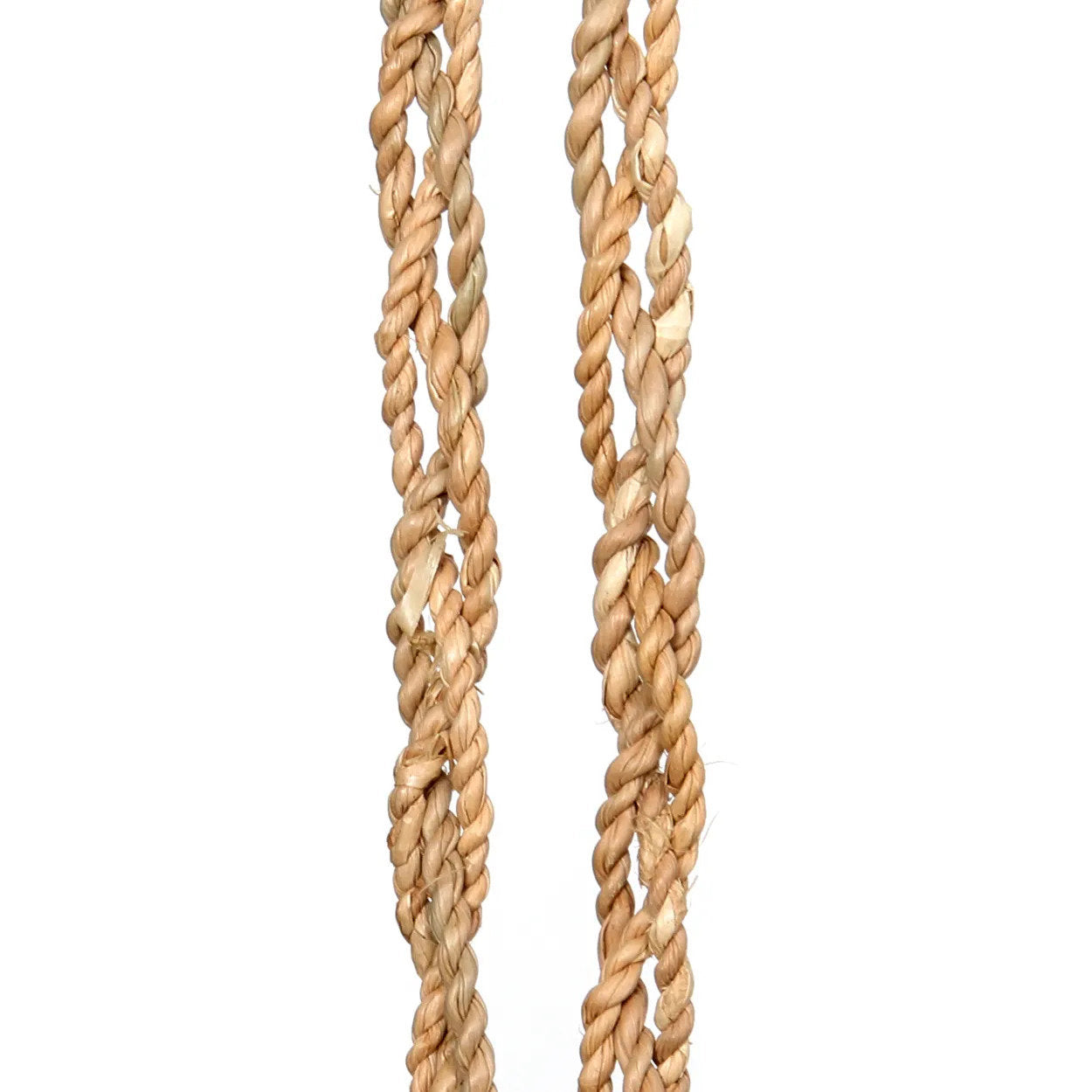 the-vanilla-shell-tassel