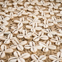 the-costa-shell-plate-natural-white-m