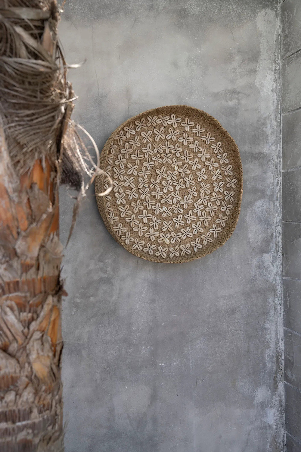 the-costa-shell-plate-natural-white-m