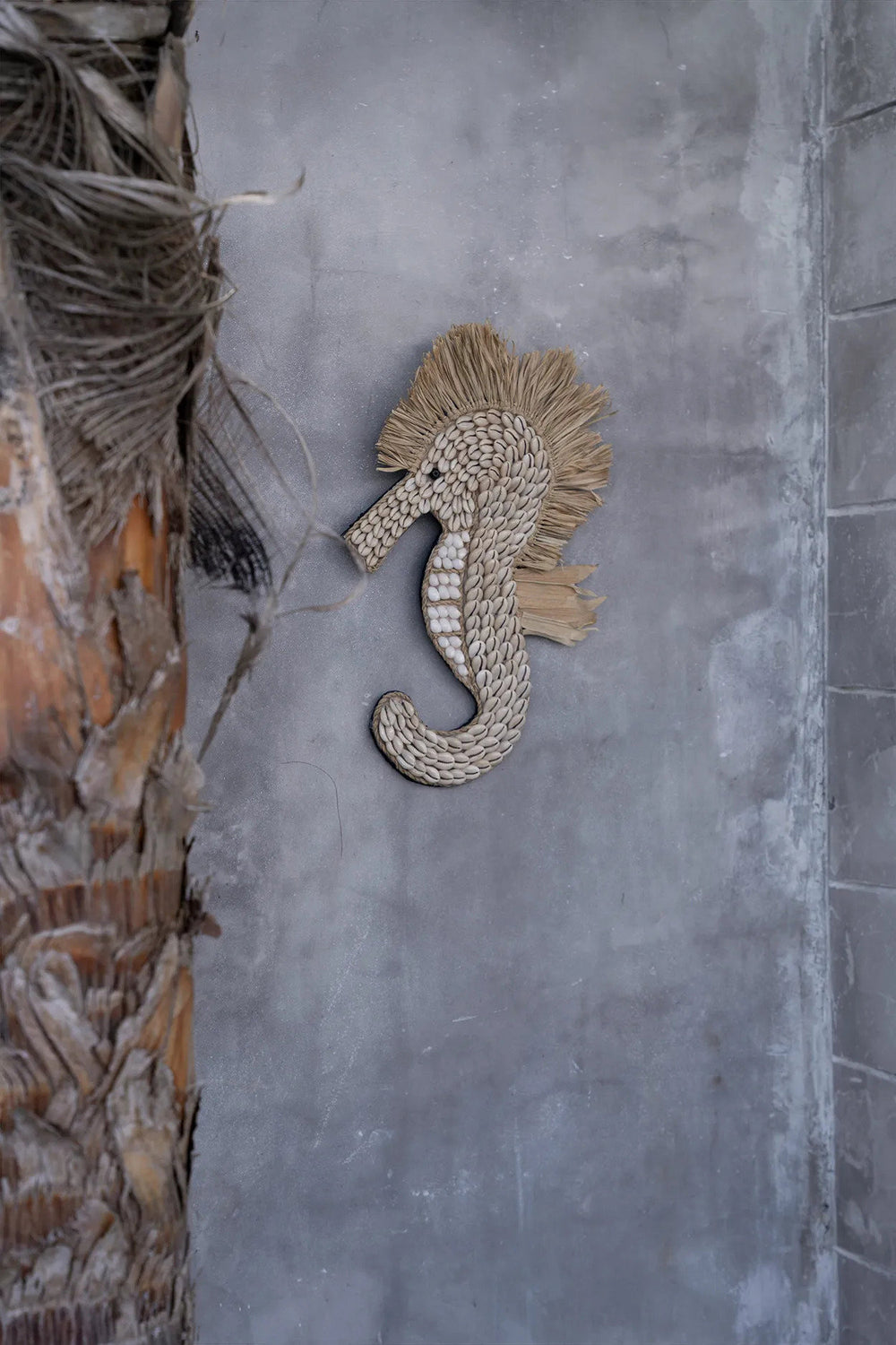 the-shell-sea-horse-white