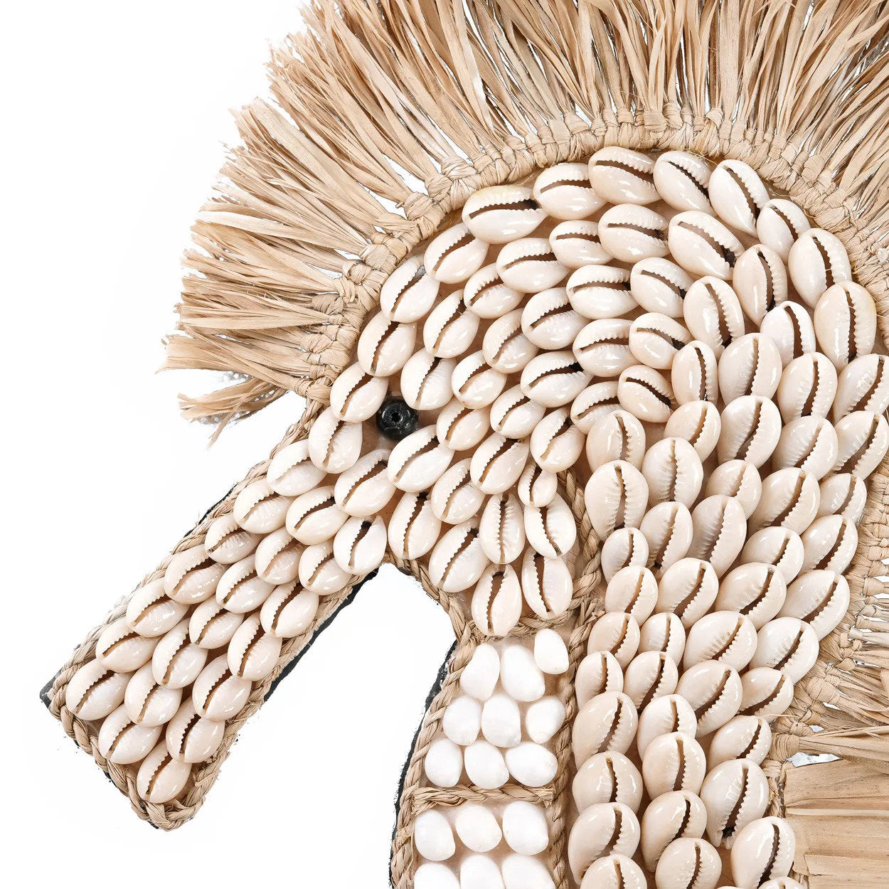 the-shell-sea-horse-white