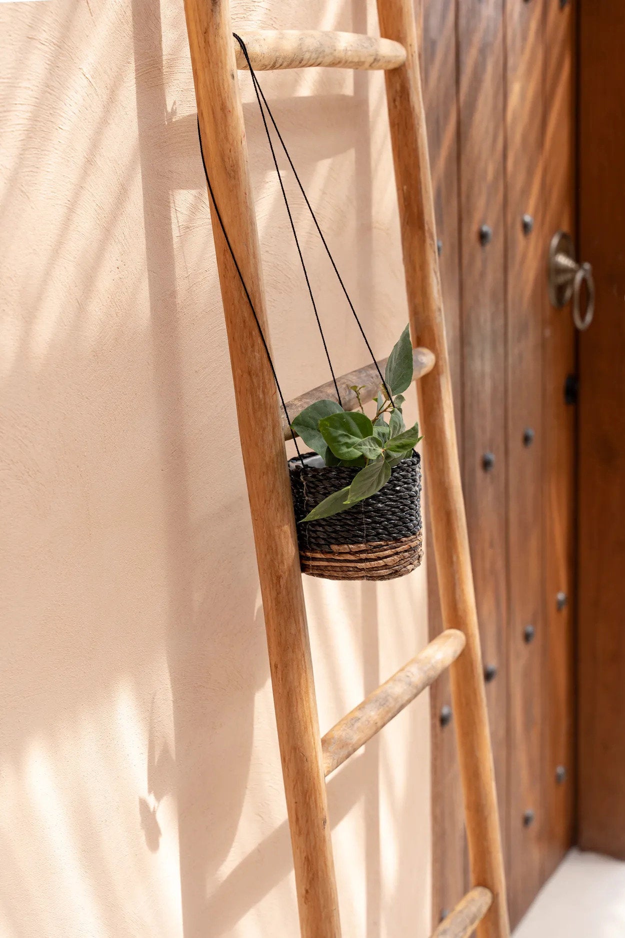 the-banana-plant-hanger-natural-black-s