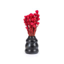 the-burned-vase