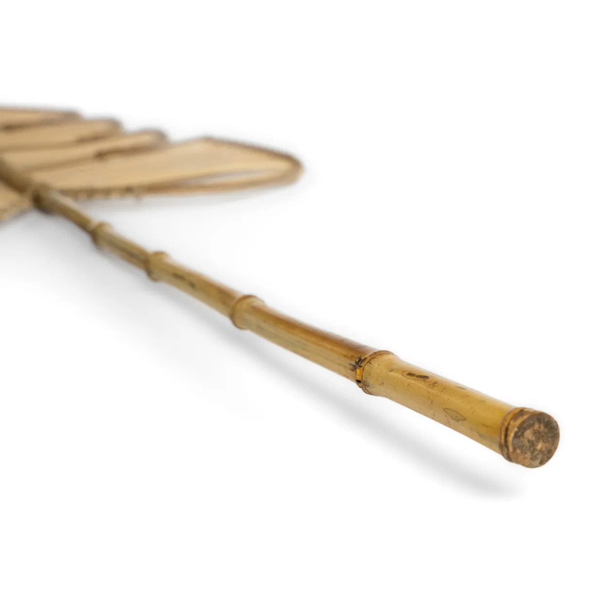 the-rattan-monstera-natural