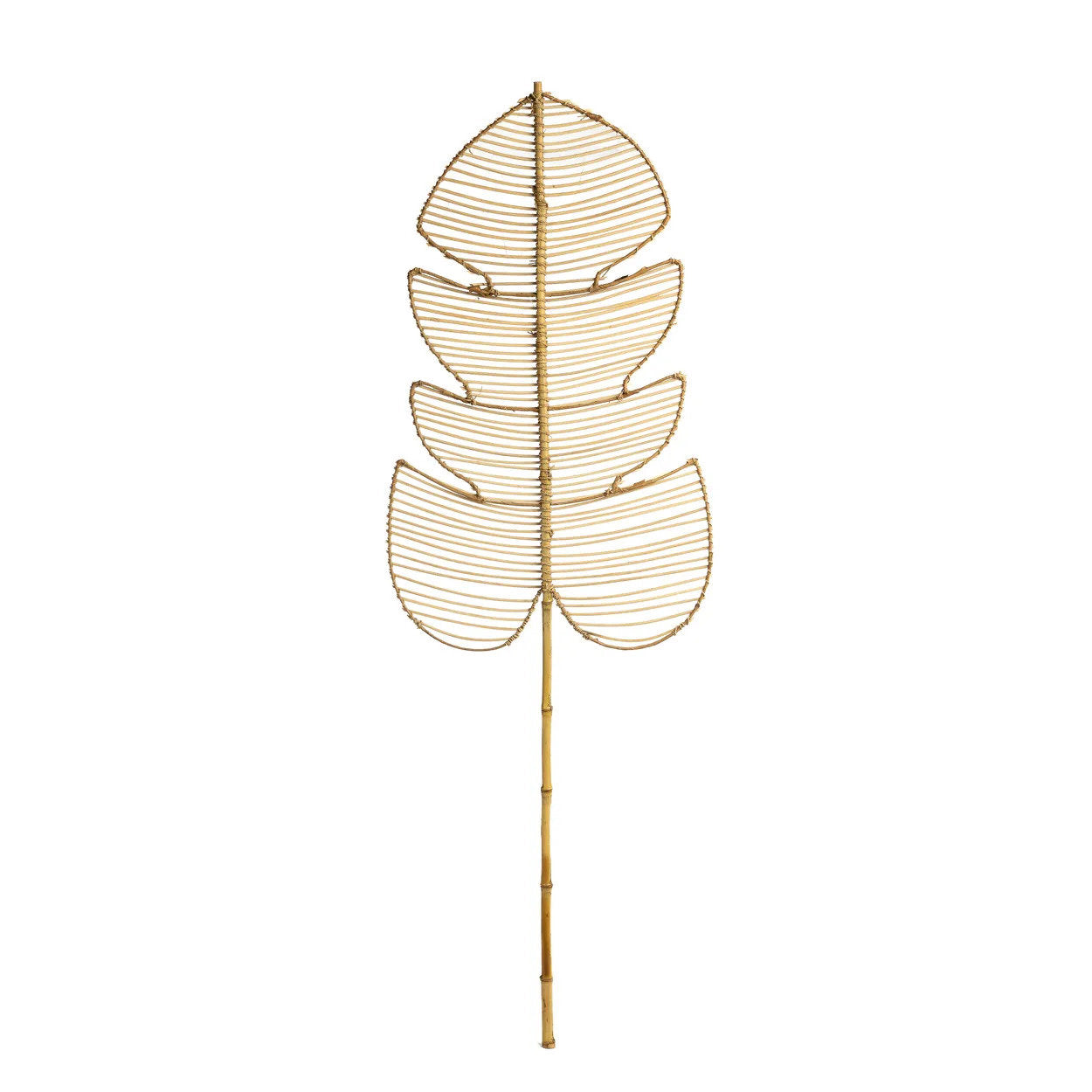 the-rattan-monstera-natural