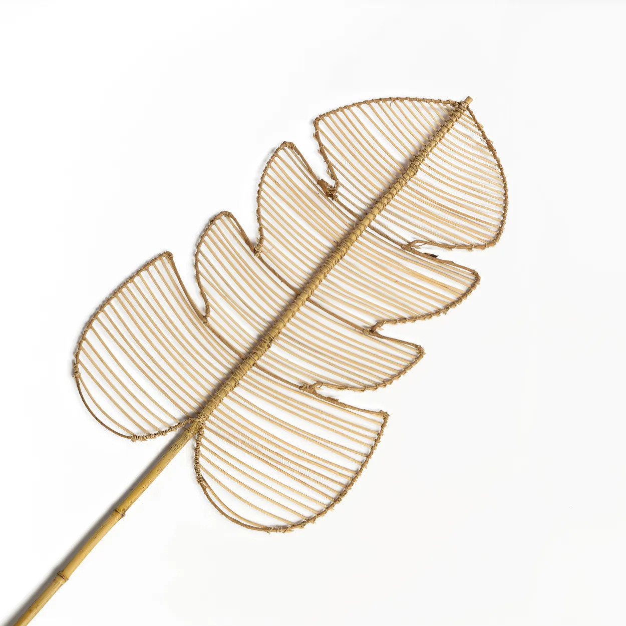 the-rattan-monstera-natural