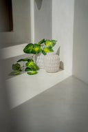 the-trendy-vase-concrete-m