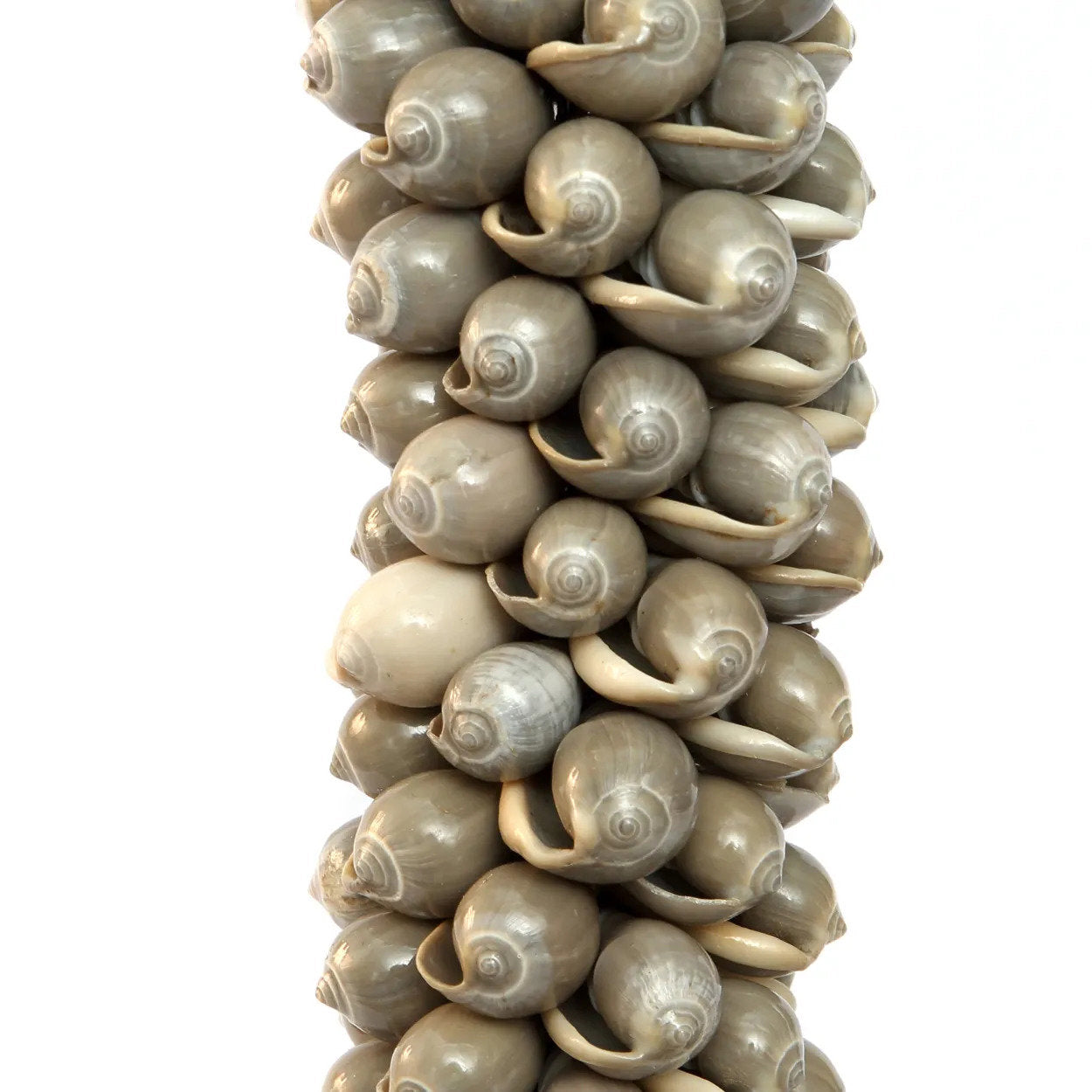 the-shell-cotton-tassel-grey