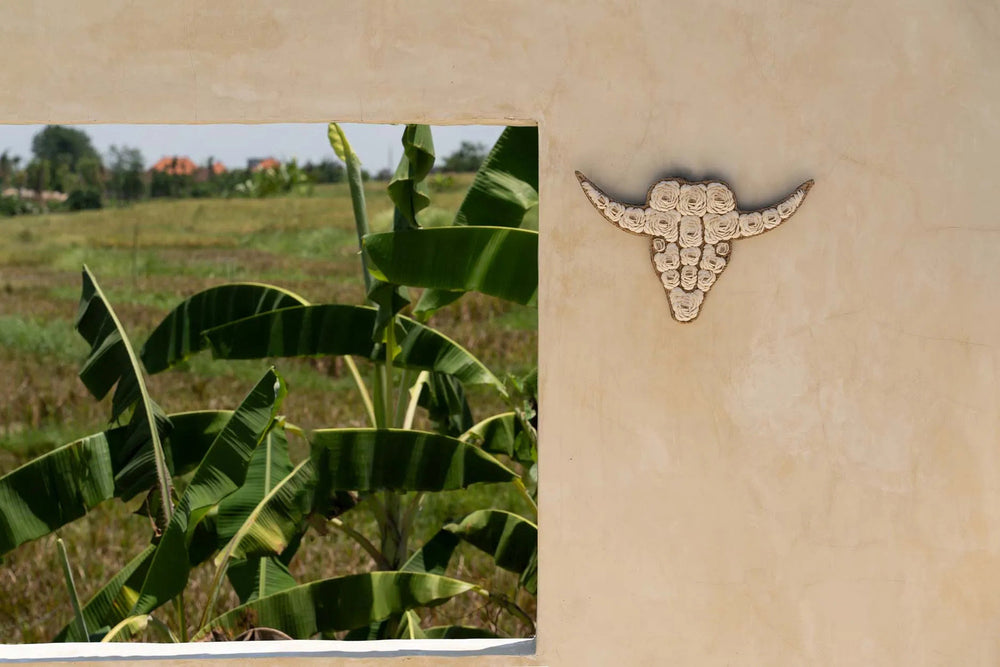 the-bull-shell-white