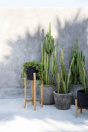 the-charcoal-high-black-natural-l