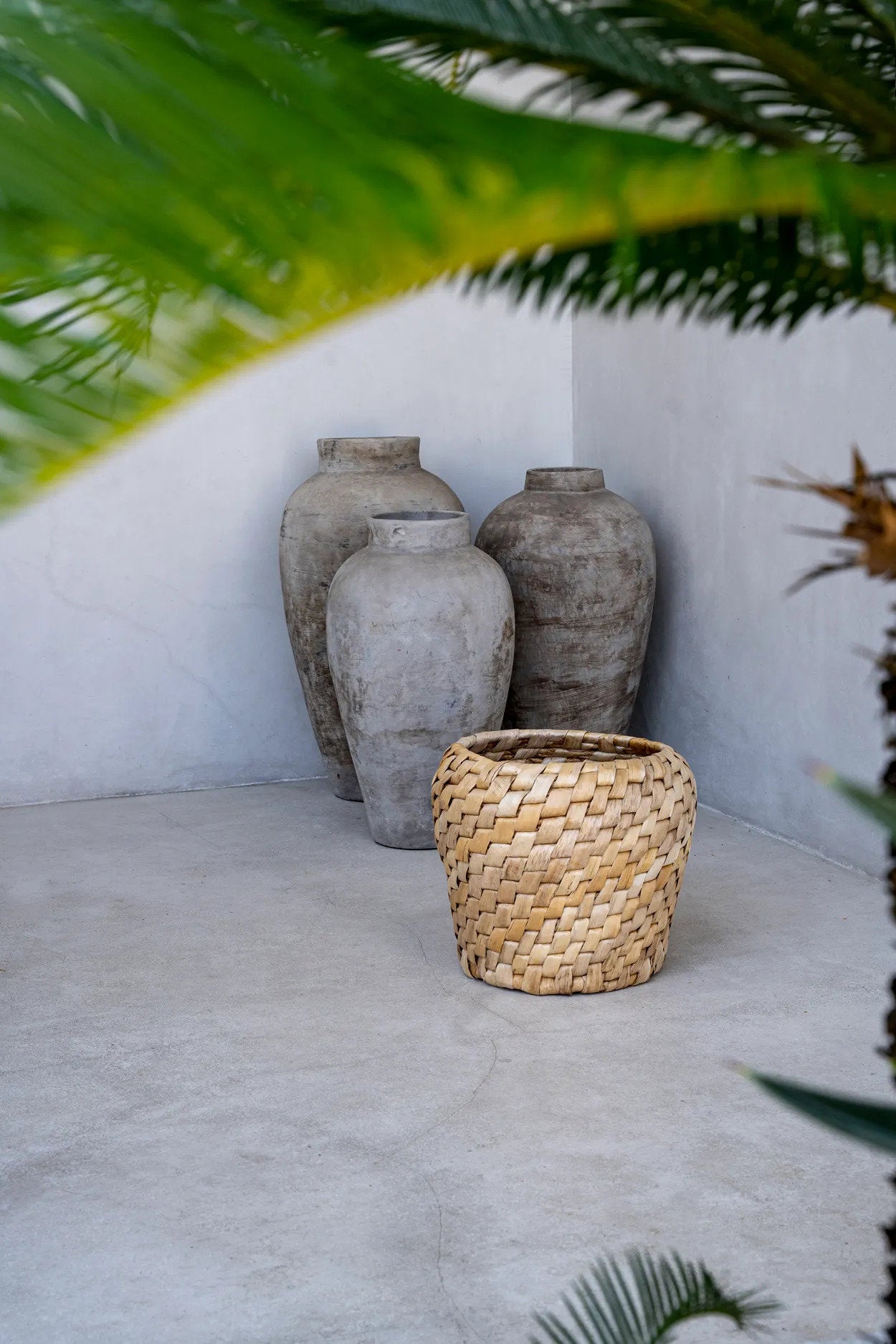the-chidi-basket