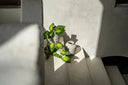 the-trendy-vase-concrete-l
