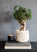 the-bondi-candle-holder