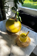 the-seagrass-shell-pan-coaster-natural