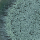 the-aqua-dinner-plate