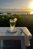 the-seagrass-shell-coaster-white