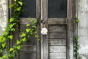 the-kai-shell-keychain-white