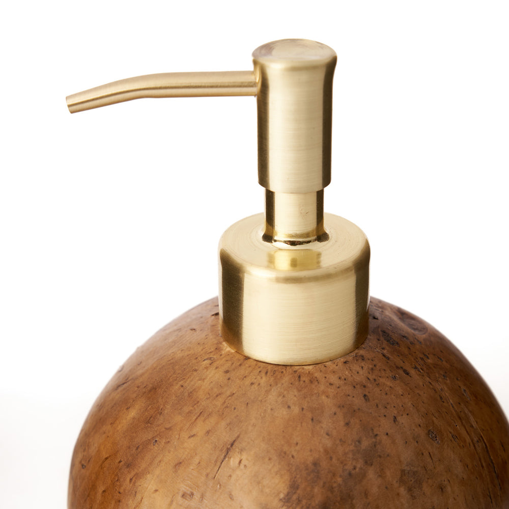 the-coconut-soap-dispenser