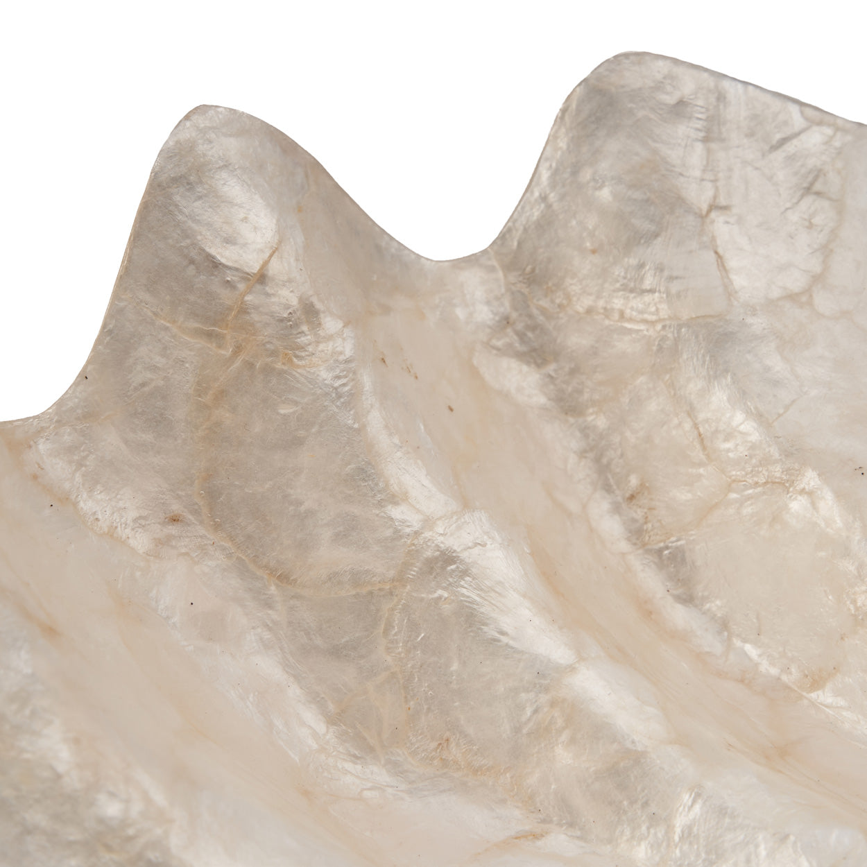 the-mother-of-pearl-soap-dish-white-m