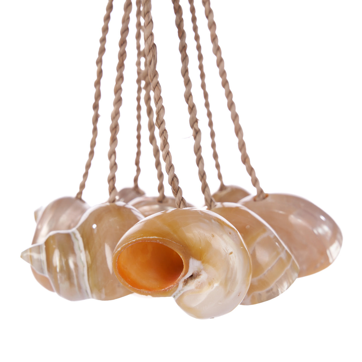 the-conch-shell-tassel-natural