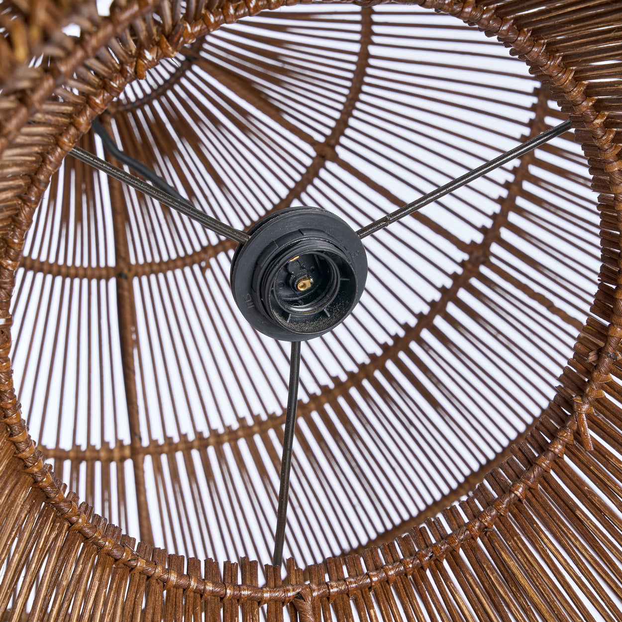 the-desert-gourd-pendant-dark-walnut-l