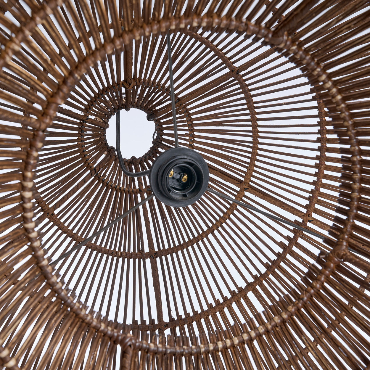 the-desert-gourd-pendant-dark-walnut-m