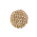 shell-ball-s