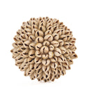 shell-ball-s