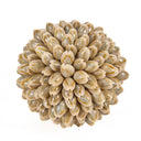 shell-ball-s
