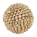 shell-ball-m