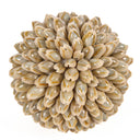 shell-ball-m