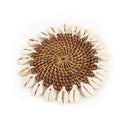 Handmade shell coaster combined with woven rattan in round shape.