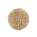 Die Oluolu Shell Kugel - L