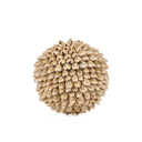 Die Oluolu Shell Kugel - M
