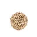Die Oluolu Shell Kugel - S